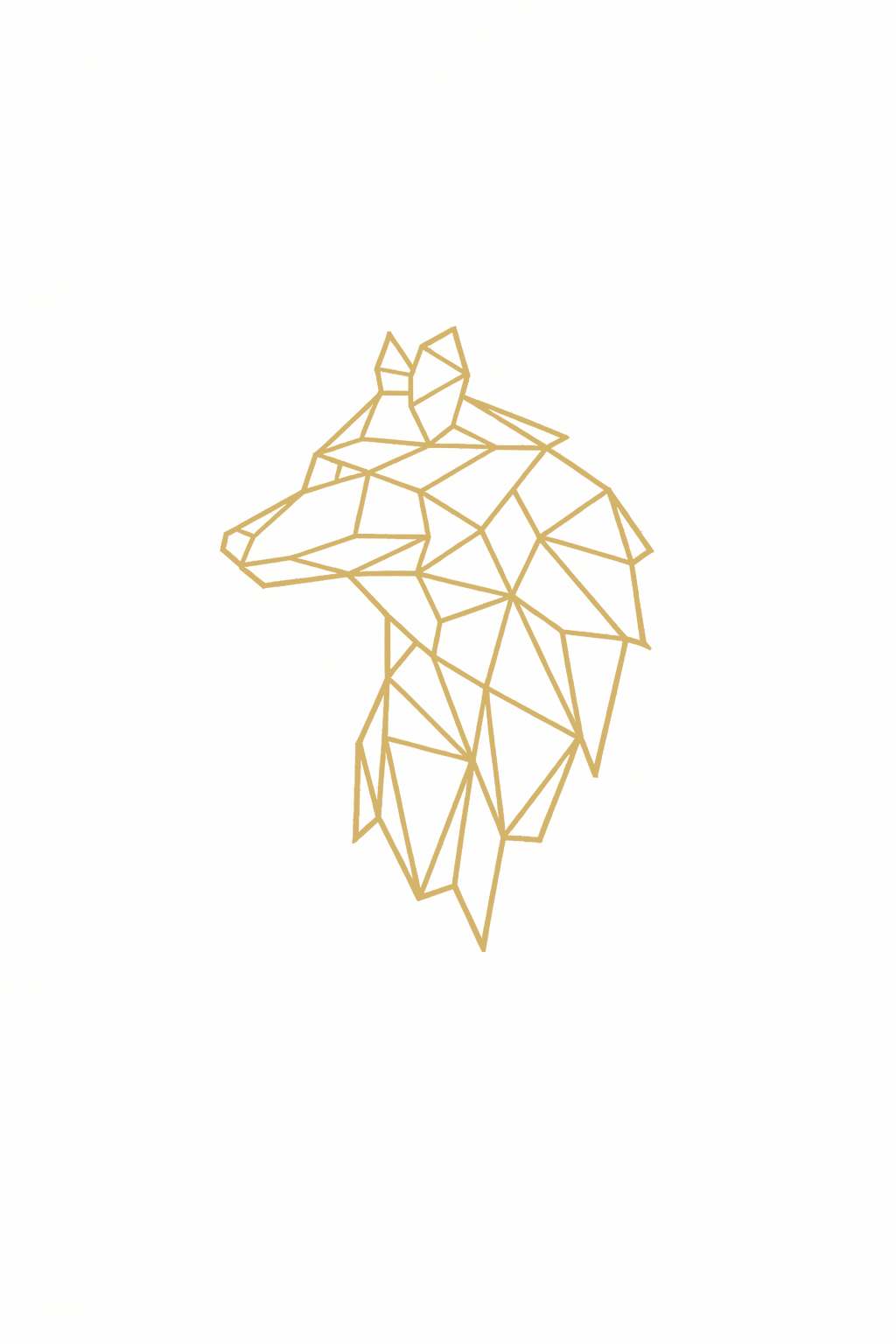 Wolf — Twin System